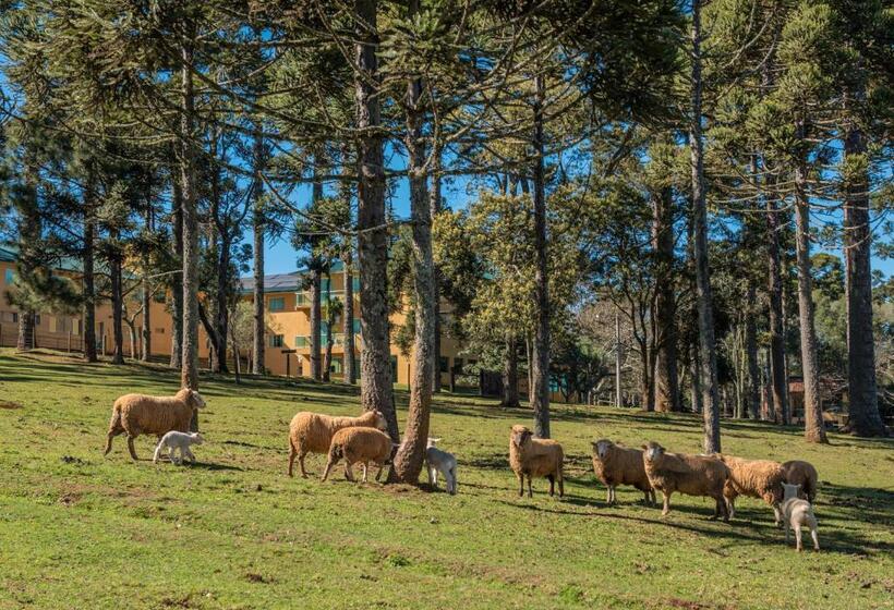 Otel Lagoa Parque