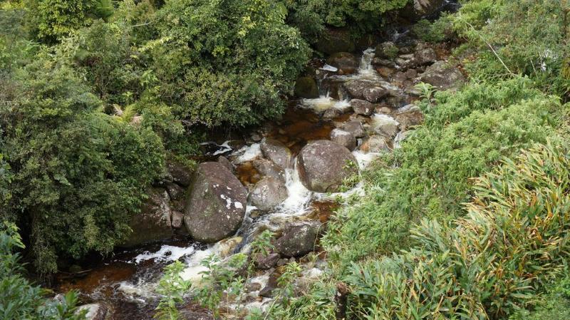 ホテル Chalé 1100