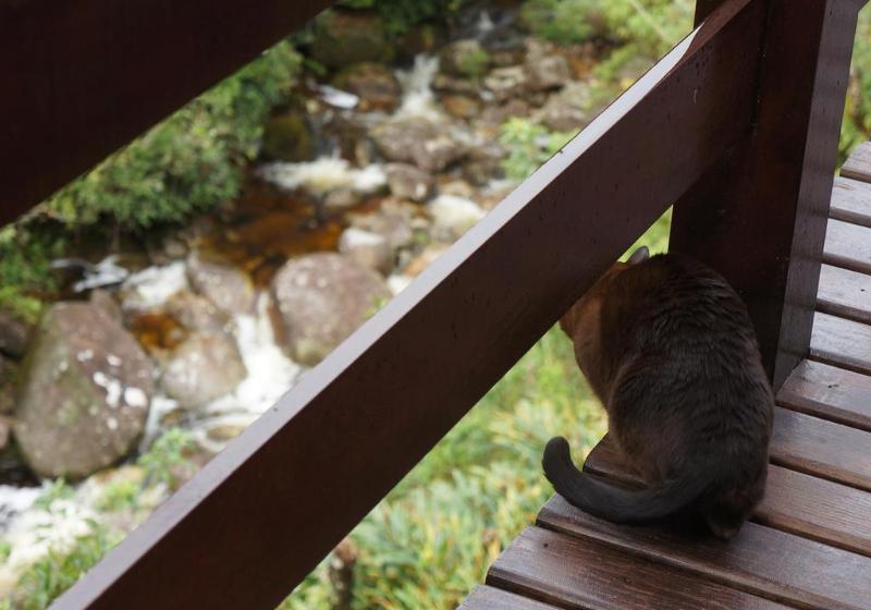 ホテル Chalé 1100