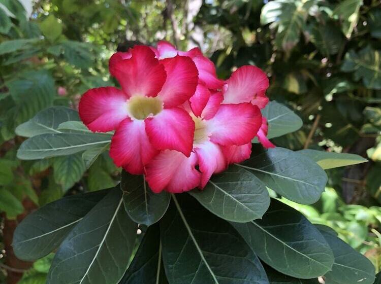 בית מלון כפרי Pousada Morada Do Sol