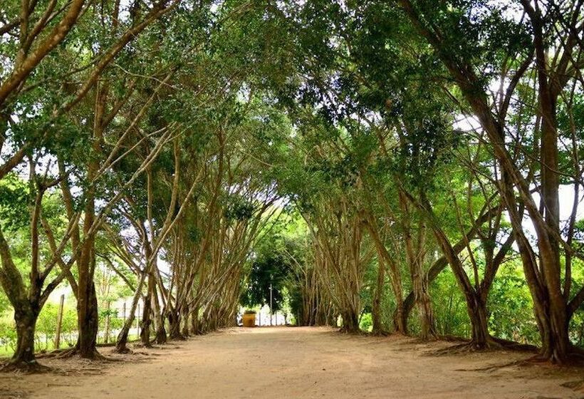 בית מלון כפרי Solar Dos Colibris