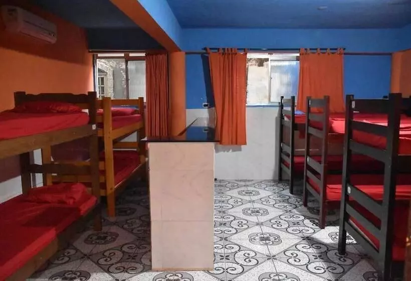 Flor Da Ilha Hostel