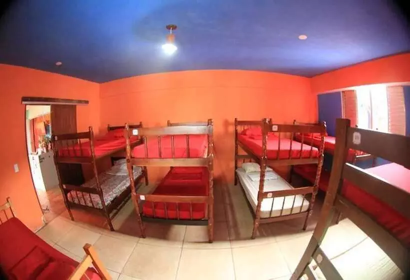 Flor Da Ilha Hostel
