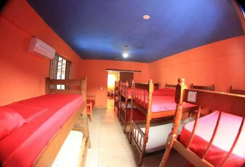 Flor Da Ilha Hostel