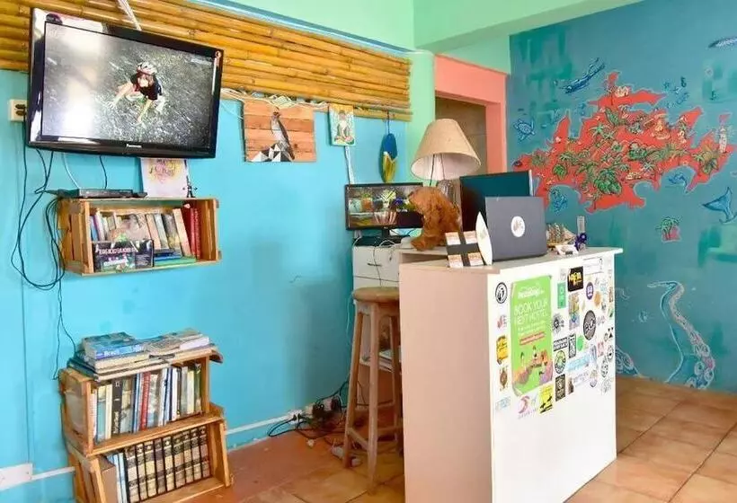 Flor Da Ilha Hostel