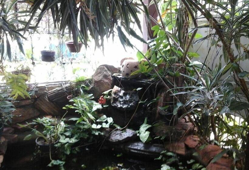 تختخواب و صبحانه Kzazendf Camaecafé Asasul