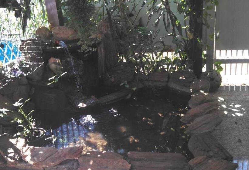 تختخواب و صبحانه Kzazendf Camaecafé Asasul