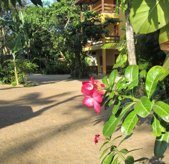 Bed and Breakfast Pousada Da Paz