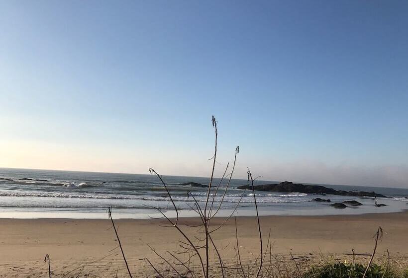 Gravata Praia Hotel   Frente Mar