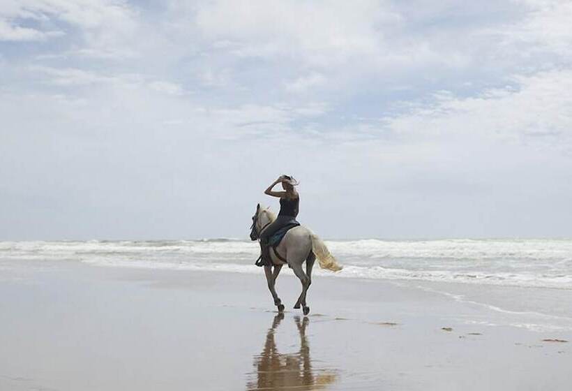 فندق Pousada Capitù