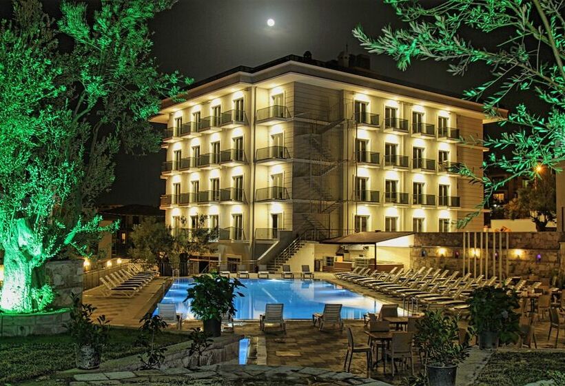 בית מלון כפרי Elisa