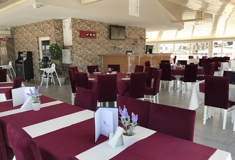 בית מלון כפרי Elisa