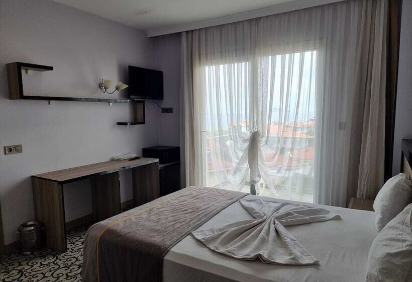 בית מלון כפרי Elisa