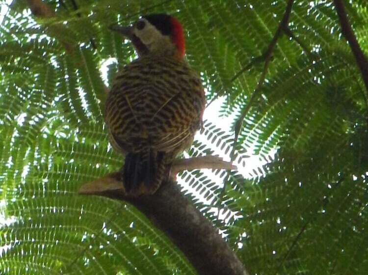 酒店 Quinta Da Mantiqueira