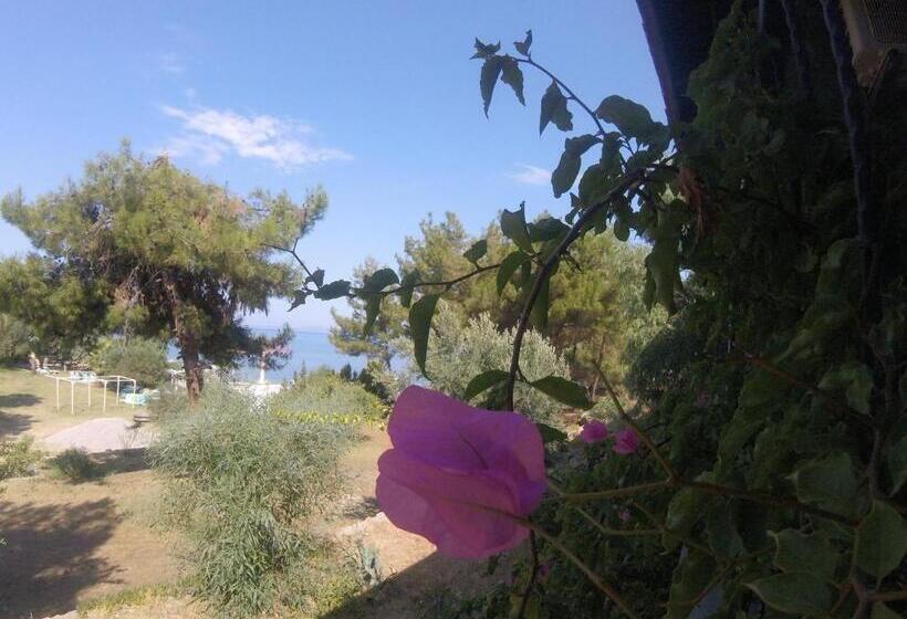 هتل Rainbow Bay Ozdere Beach