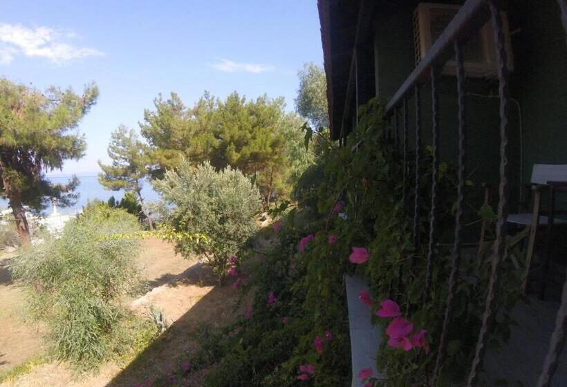 هتل Rainbow Bay Ozdere Beach