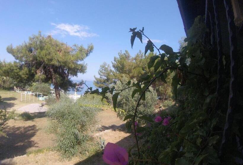 هتل Rainbow Bay Ozdere Beach