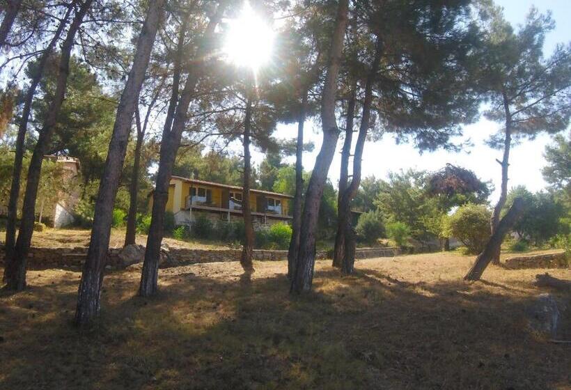 هتل Rainbow Bay Ozdere Beach