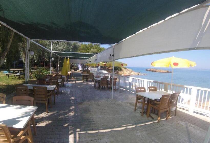 هتل Rainbow Bay Ozdere Beach