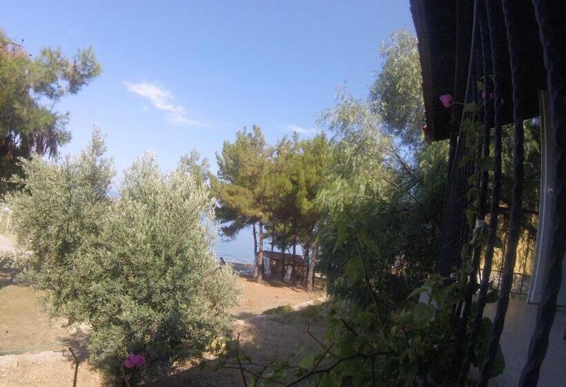 هتل Rainbow Bay Ozdere Beach