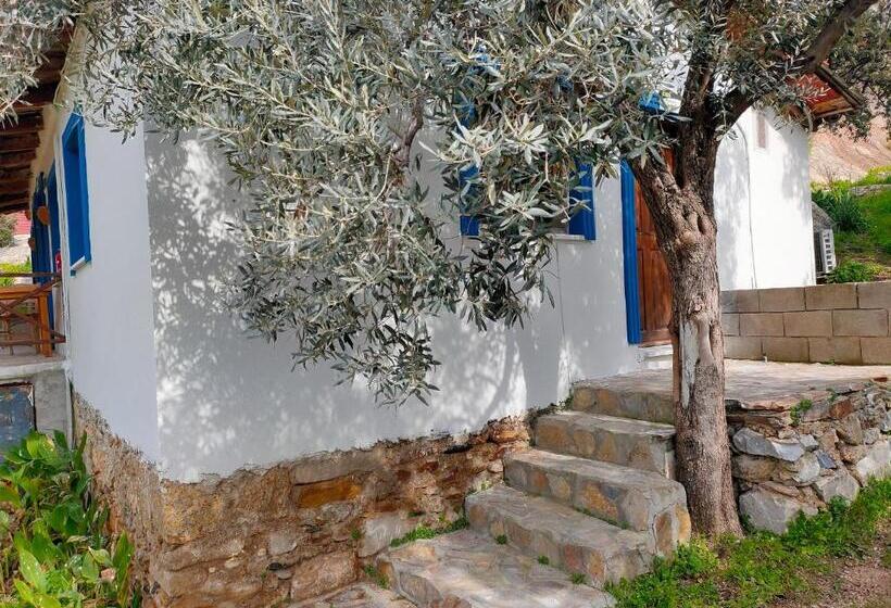 Отель Selenes Pansiyon