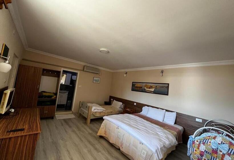 Отель Selenes Pansiyon