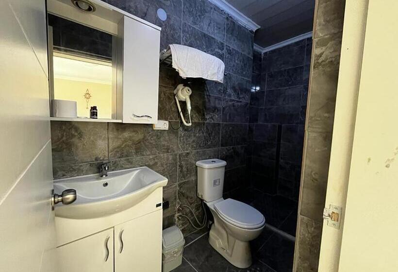 Отель Selenes Pansiyon