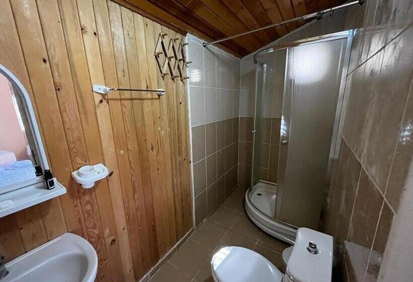 Отель Selenes Pansiyon