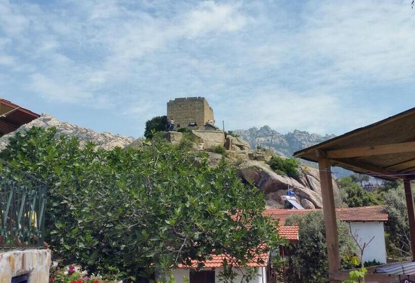 Отель Selenes Pansiyon