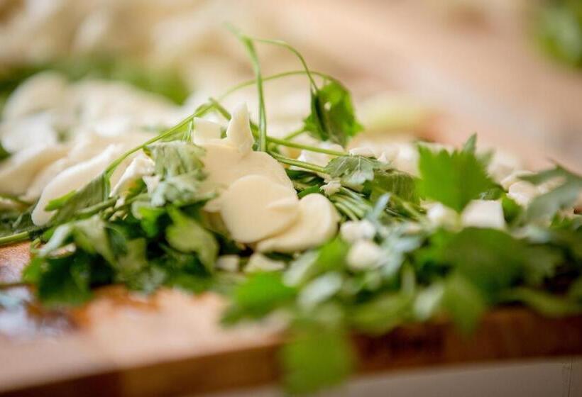 Limnades Hotel İznik