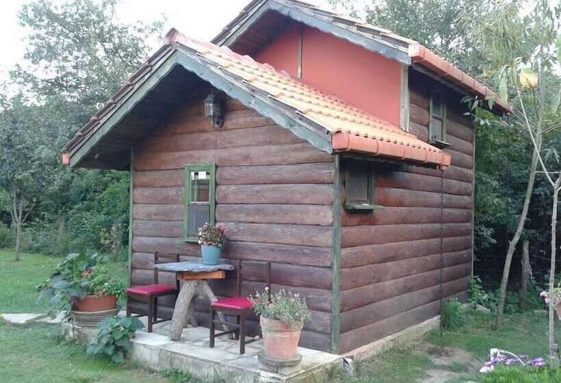 Agva Tartaruga Motel