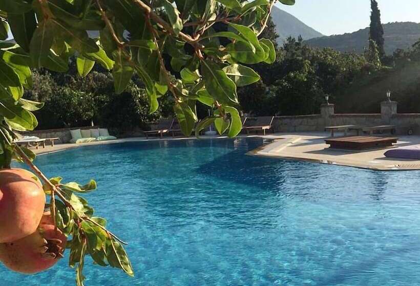 Bed and Breakfast Villa Mercan