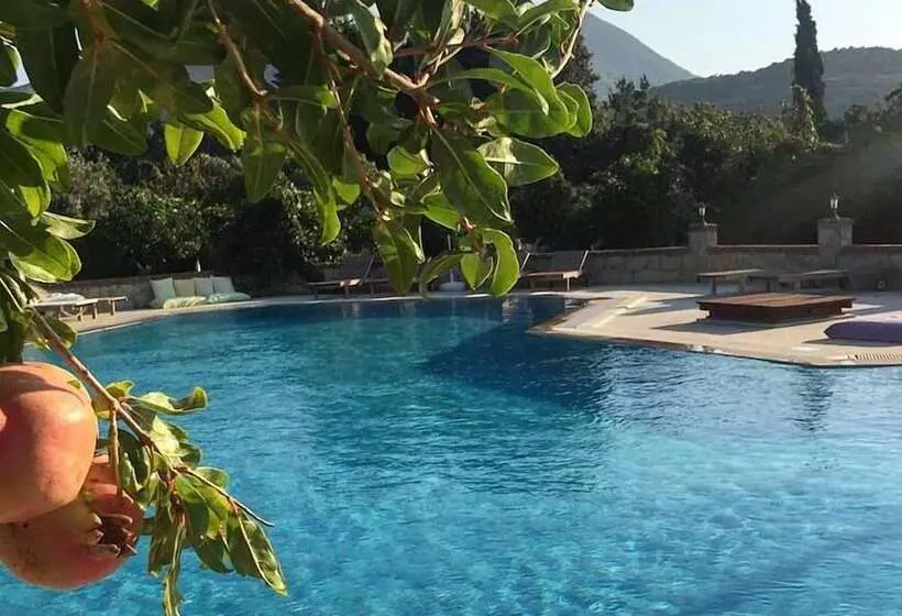 Bed and Breakfast Villa Mercan