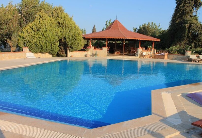 Bed and Breakfast Villa Mercan