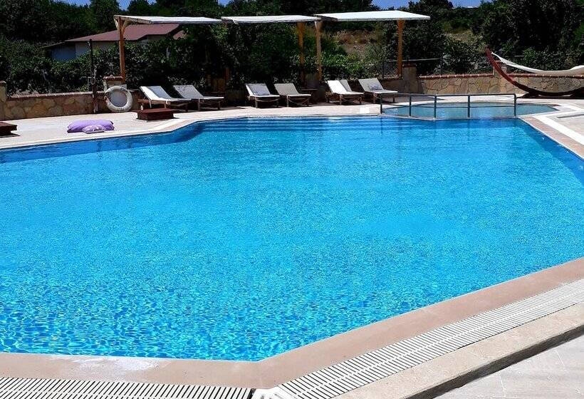 Bed and Breakfast Villa Mercan