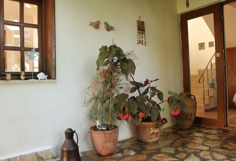 Bed and Breakfast Villa Mercan