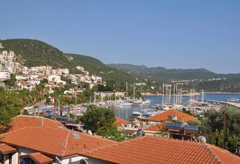 Hotel Nisa
