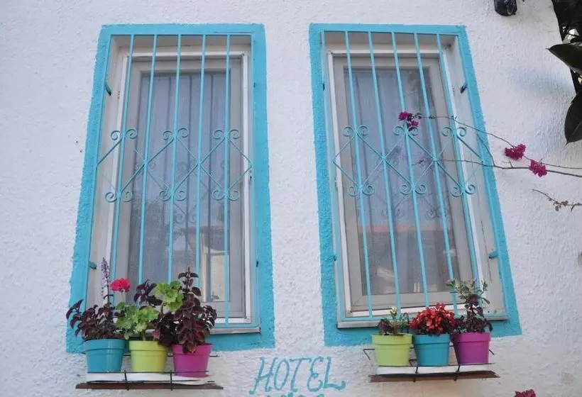 Hotel Nisa