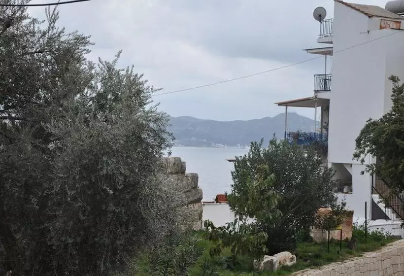 Hotel Nisa