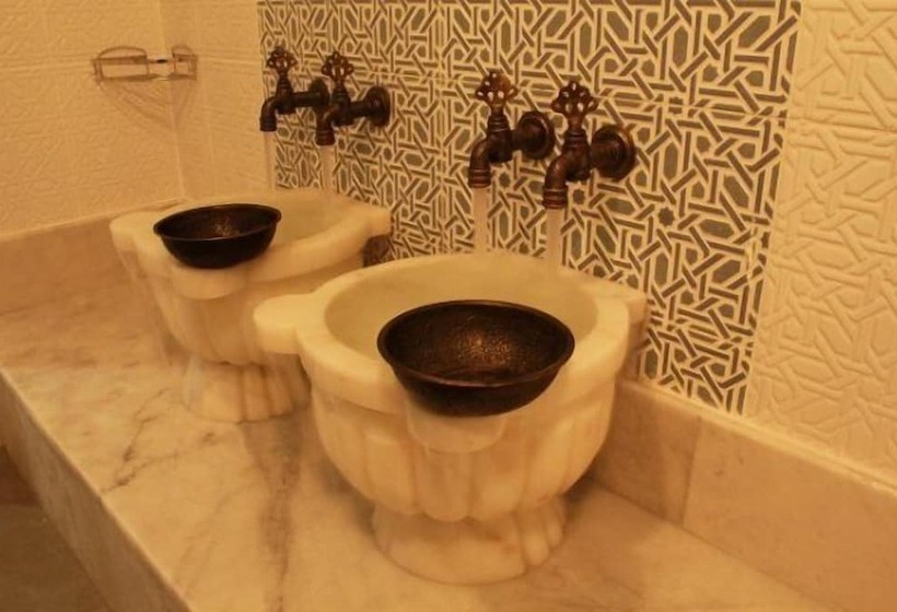 هتل Ziyapasa Park