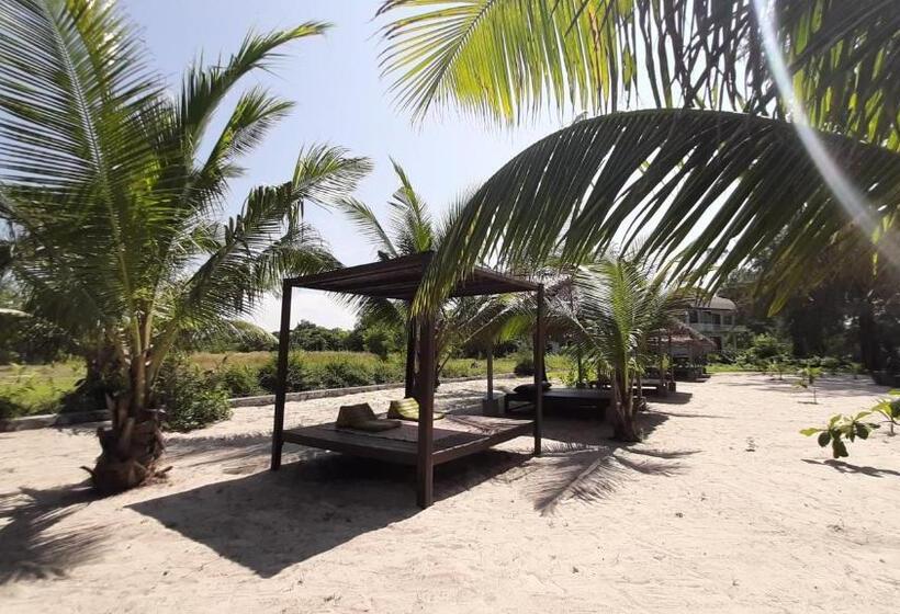 Cede Boutique Beach Resort