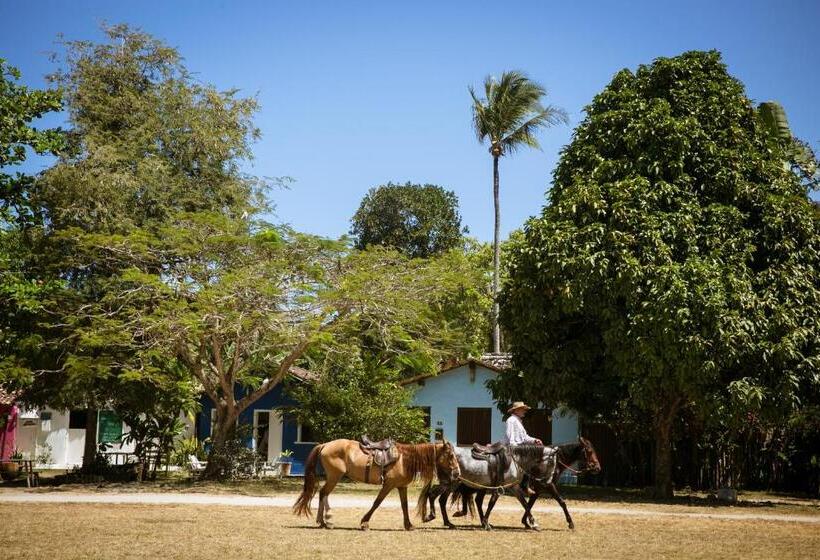 פונדק Pousada Hospedaria Do Quadrado