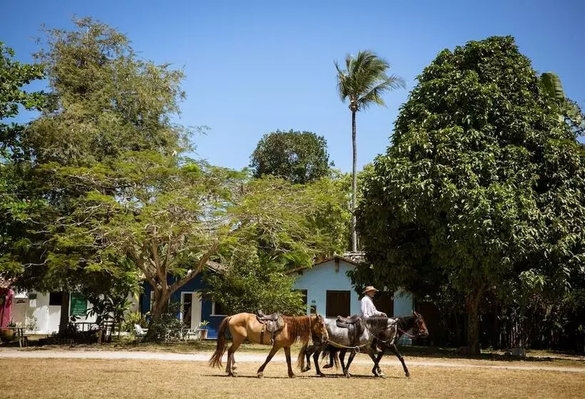 簡易ホテル Pousada Hospedaria Do Quadrado