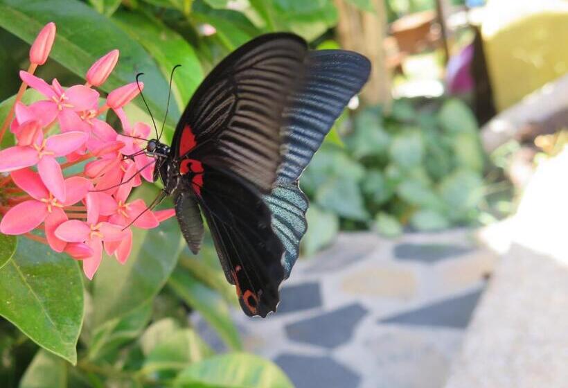 Szálloda Grand Tree