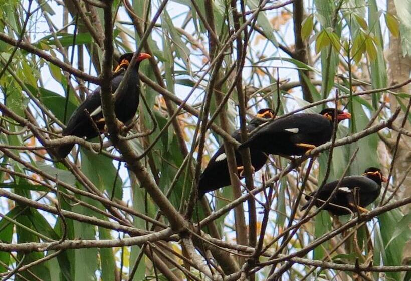 Szálloda Grand Tree