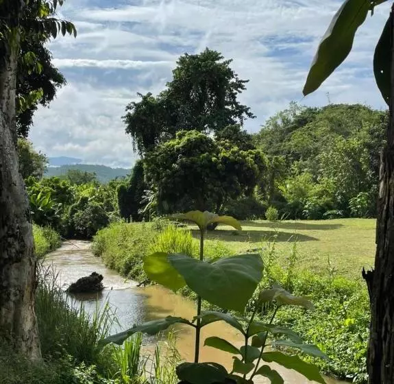 Chiang Dao Hostel