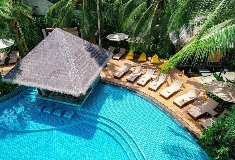 هتل Hula Hula Resort L Truly Tropical And Fun Wellness