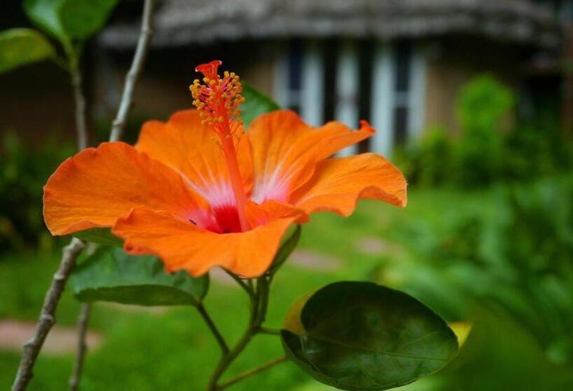 בית מלון כפרי Pho Rak Nah Pai