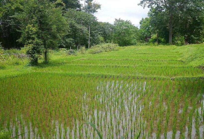 בית מלון כפרי Pho Rak Nah Pai