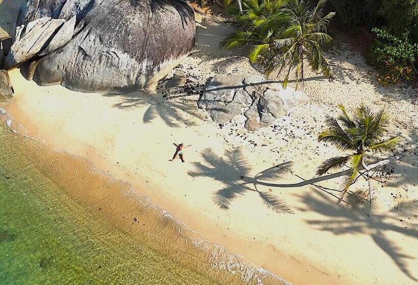 酒店 Somewhere Only We Know Resort